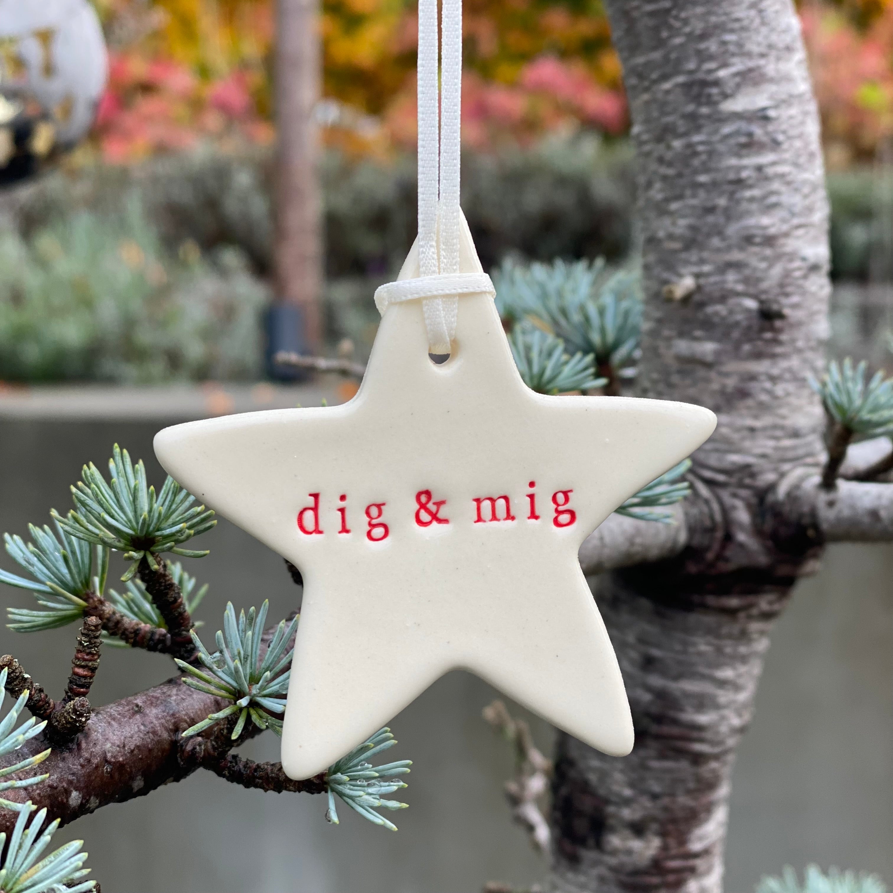 Paper Boat Press julestjerne med ord - dig & mig