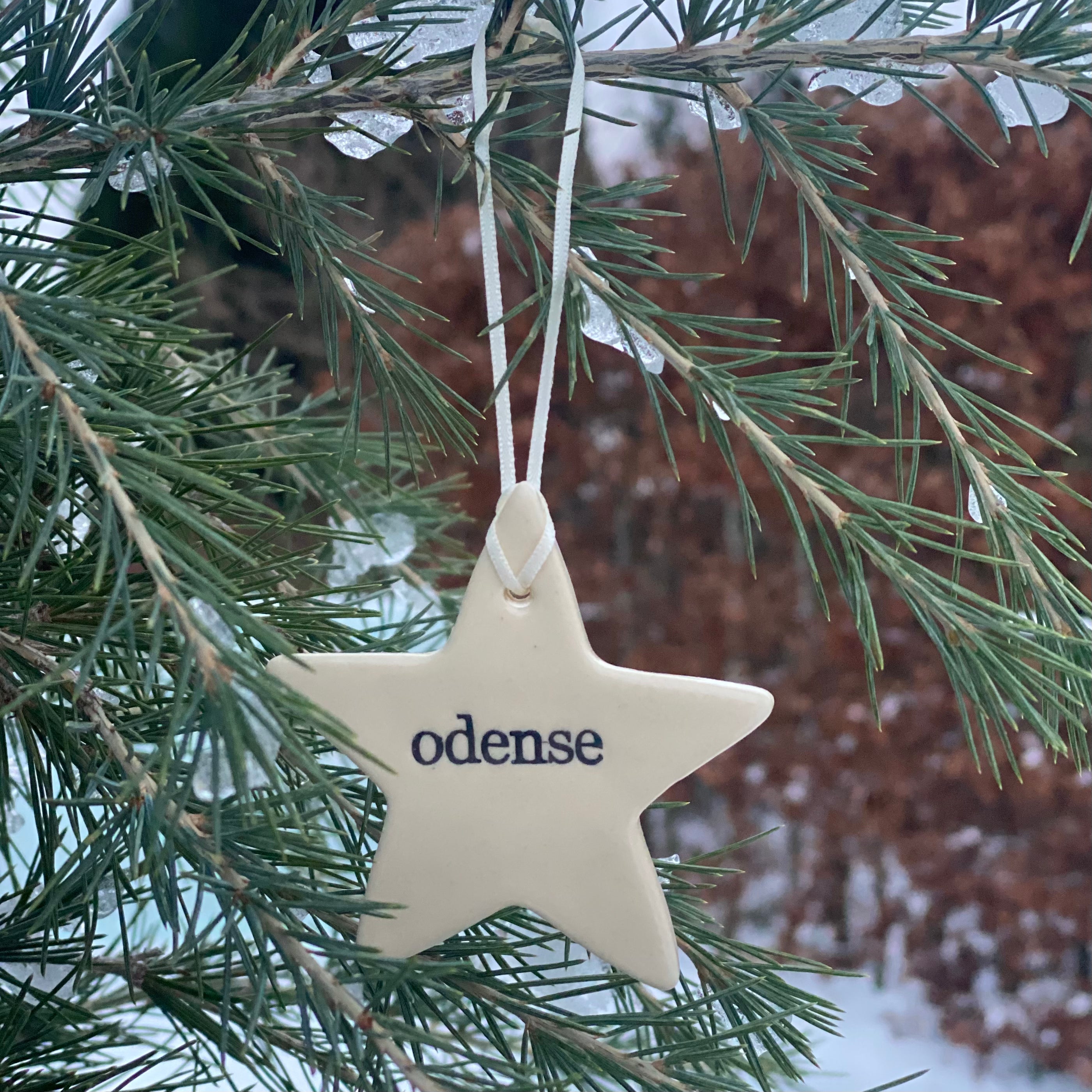 Paper Boat Press Christmas star with words - Odense