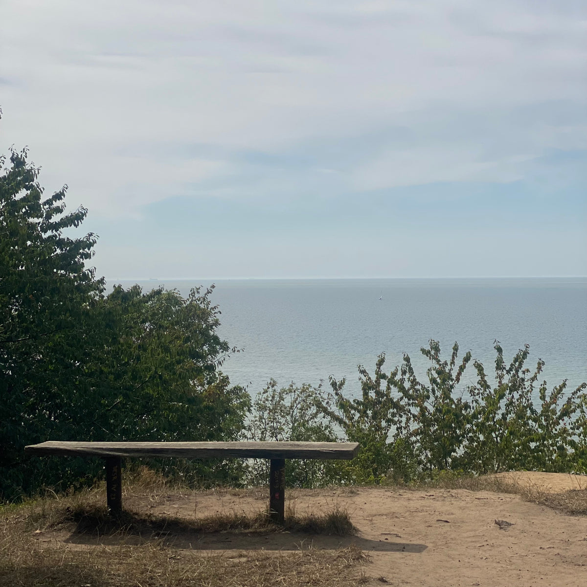 En bænk på en høj med udsigt over havet og grøn skov i forgrunden på Bornholm – inspiration til bornholmsk keramik