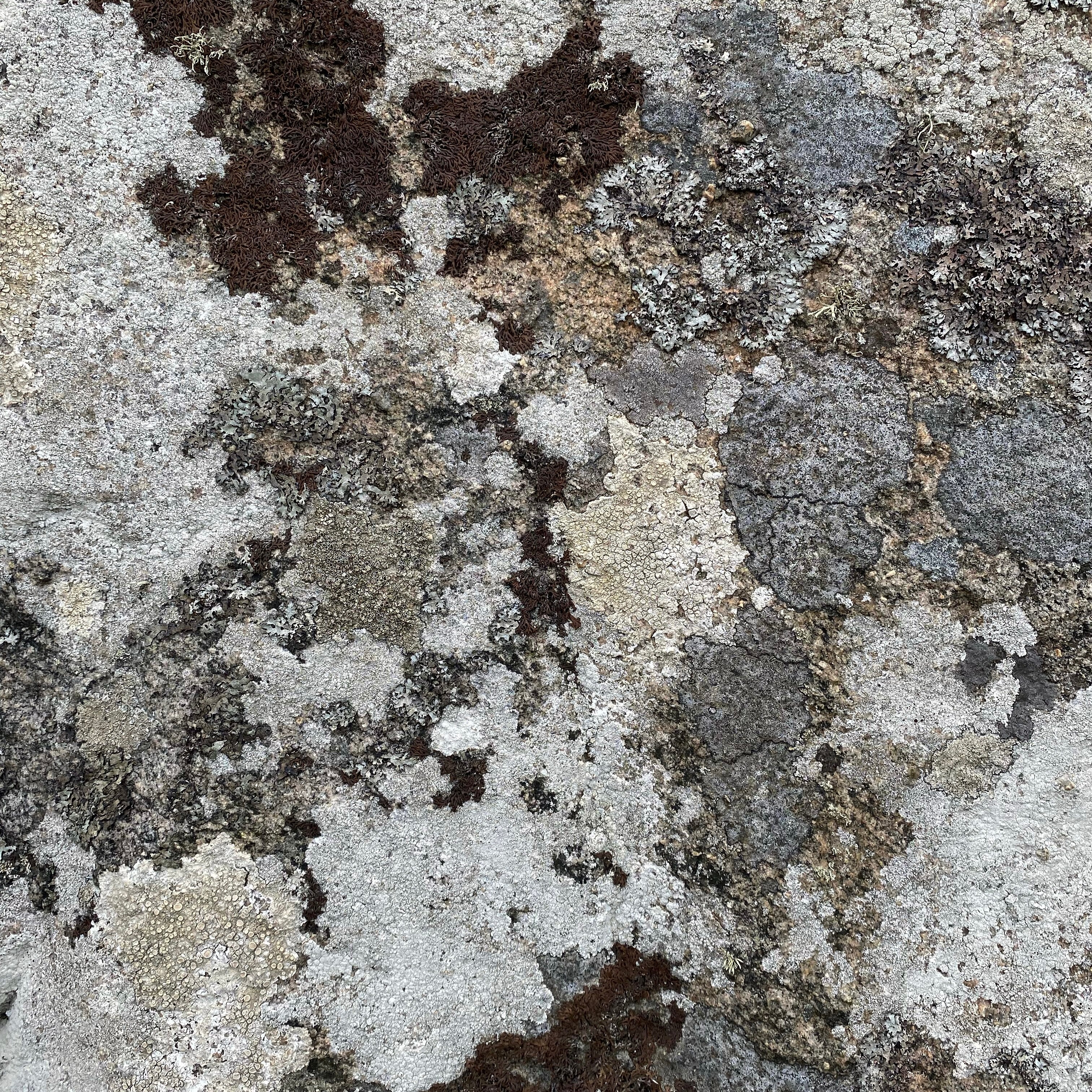Smuk bornholmsk granit i nordiske jordnære farver af creme, gyldent, brun og beige – inspiration til bornholmsk keramik